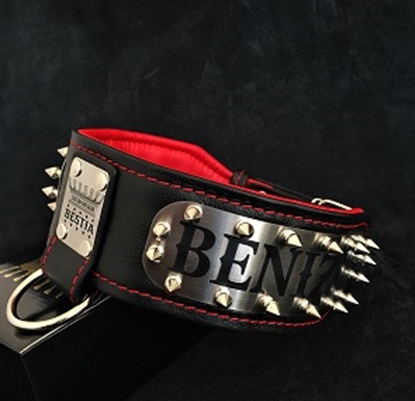 Picture of Bestia Kennel Dog Collar